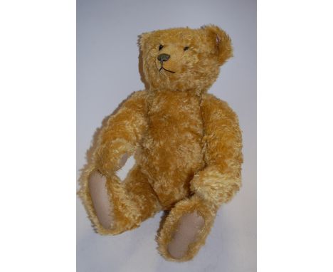 Steiff 'Basil the Cone-Nosed Bear', white tag No.668319, limited edition of 1500 pieces, with accompanying certificate and as