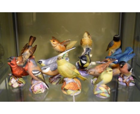 Collection of Royal Worcester bisque bird ornaments (15)  