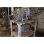 Plant Support - (2) Siemens Vacuum Pumps