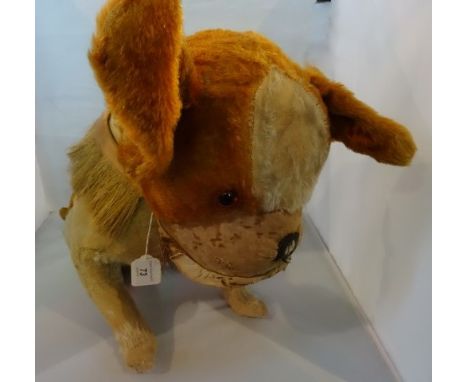 An early 20th century Steiff large model of a French Bully bulldog, with ear button, glass eyes, straw filled body, stitched 