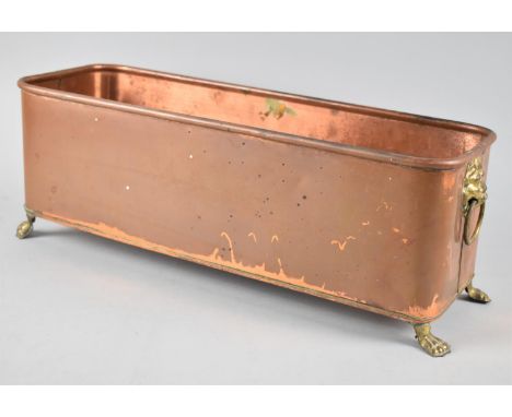 A Copper Planting Trough with Four Brass Claw Feet and Brass Ring Handles, 44cms Wide 