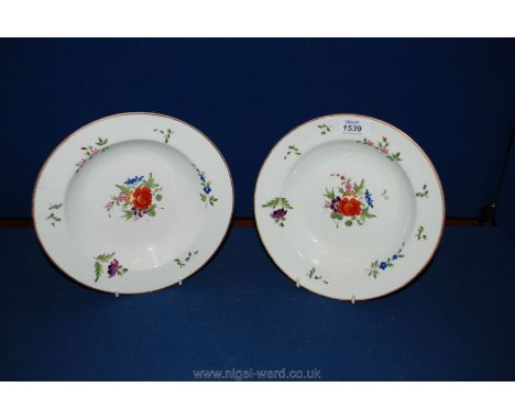 A pair of Chamberlain Worcester soup Dishes, hand-painted with flowers, 9" diameter, printed mark to base for 1811 pattern no