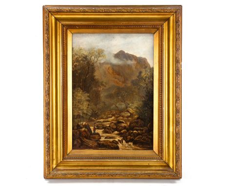 19th century oil on canvas, mountain stream, indistinctly signed, 36cm x 25cm, framed1 patch repair no visible from the front