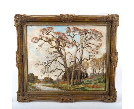 Oil on canvas, impressionist tree study, unsigned, 50cm x 60cm, framed1 patch repair with overpainting otherwise good conditi