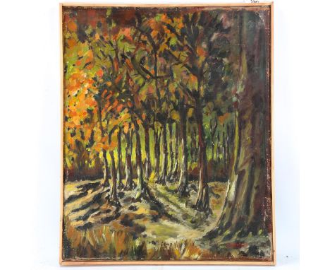 F Mountray (French), mid-20th century oil on canvas, woodland scene, 59cm x 49cm, framedSome paint abrasions and minor flakin