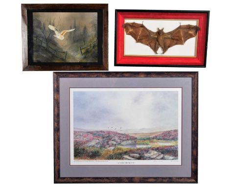 Taxidermy/Pictures: A Framed Fruit Bat, Framed Print "Afore The Butts", &amp; Watercolour of a Barn Owl, a preserved and moun
