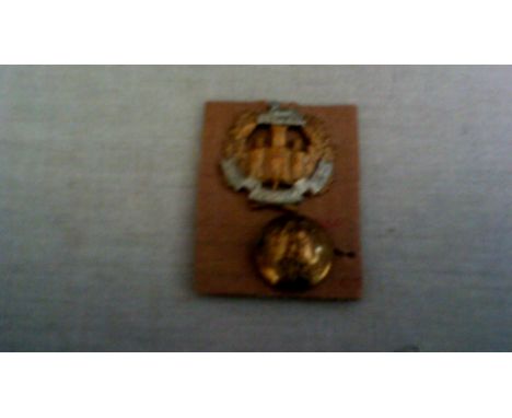 British WWI The Essex Regiment Cap Badge (Bi-metal, slider) with Brass WWI Essex Regt Button