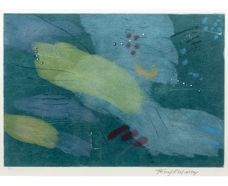 Tony O'Malley (1913-2003)Untitled3/20, signed and numbered in pencil (in the margin)etching and aquatint38 x 49cm.