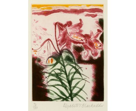 Elizabeth Blackadder (1931-2021)Lily76/100, signed and numbered in pencil (in the margin)etching and aquatint25 x 20cm.
