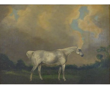 English School (19th century): Portrait of a Grey Stallion, oil on board unsigned 31cm x 41cm Condition Report & Further Deta