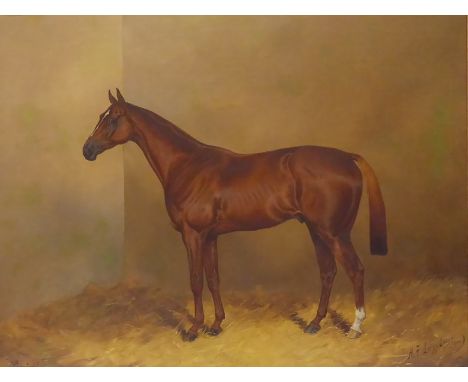 Henry Frederick Lucas Lucas (1848-1943): 'Punctual' horse portrait chestnut gelding, oil on canvas, signed and dated 1913, 80