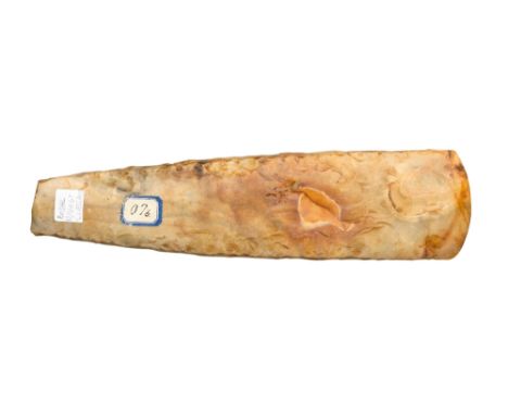 A LARGE NEOLITHIC PERIOD AXE, SCANDINAVIAN, CIRCA 2500 BC of amber colour, the polished top and bottom tapering to an edge 29