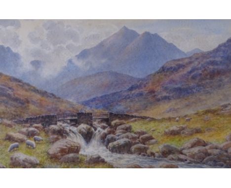 WARREN WILLIAMS ARCA watercolour - entitled 'Garth Bridge and Falls near Pen-y-Gwryd', 32 x 50cms Condition Report: light sta