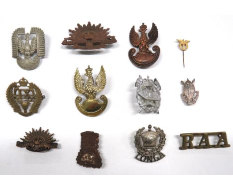 12 x Dominion And Forces In Exile Badges including white metal Polish Air Force (lugs) ... White metal Polish Forces (blades)