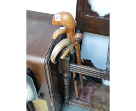 Edwardian horn handled walking stick with Silver collar and a collection of assorted Vintage Sticks and a umbrella