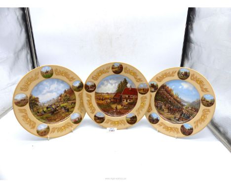 A collectors set of three ceramic plates.