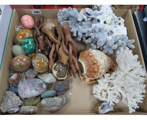 A Natural Cameo Carved Shell, with screw light fitting, two pieces of coral, various geological samples, mineral eggs with st