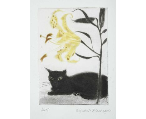 Dame Elizabeth Violet Blackadder DBE, RA, RSA (1931-2021) Scottish"Black Cat and Lily"Signed and inscribed proof, etching and