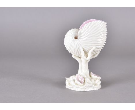 A Royal Worcester nautilus shell, pink interior, lustre glaze on naturalistic base, impressed mark to base, 16.5 cm high 