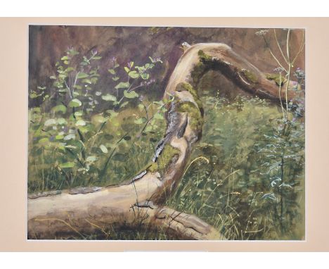 George Morrison Reid Henry (1891-1983) watercolour on paper, 'Tree Trunk, Edgeworth, Gloucestershire', 21.4 cm x 27.9 cm, fra