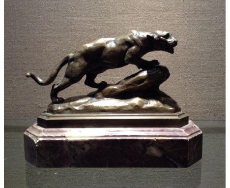 A 20TH CENTURY FRENCH BRONZE ART DECO LIONESS  Perched on a rock, raised on a stepped purple variegated marble base. (approx 