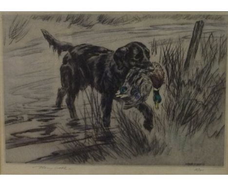 AFTER HENRY WILKINSON - three coloured etchings; "Black Labrador chasing duck in flight", limited edition No'd. 14/75, signed