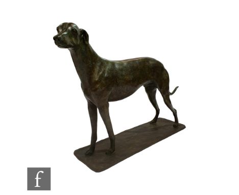 Philip Blacker - Greyhound, life size study, signed and numbered 5/6, height 91cm and length 142cm. Provenance - Purchased ne