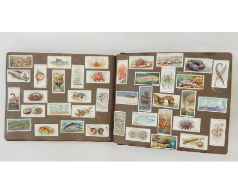 Album of cigarette cards to include Wills, Churchman and Players (stuck down) and a quantity of smaller albums to include Pla