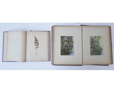 FERNS (2)Flintoft's Collection of the British Ferns in the English Lake District [titled on upper cover], 37 mounted fern spe