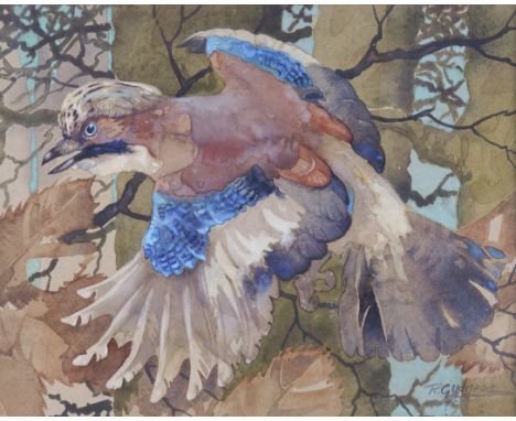 RALSTON GUDGEON (SCOTTISH, 1910-1984)A Jay
signed 'R. Gudgeon' (lower right)
watercolour
29 x 36.5cm
ARR

Provenance
W.B Simp