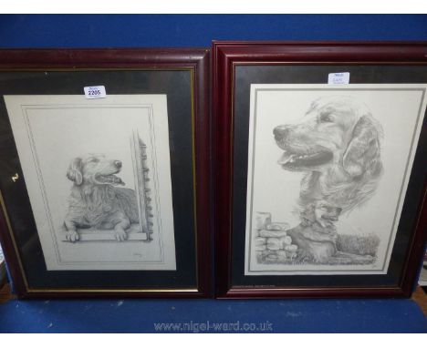 A framed and mounted C. Varley print of a Golden Retriever along with one similar, signed lower right 'Vicki' and a pair of G