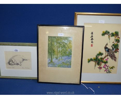 A framed and mounted Print of a Chinese Boar by Joan Jacobsson, print of Bluebells in a wood by J. Halford Ross and Chinese e