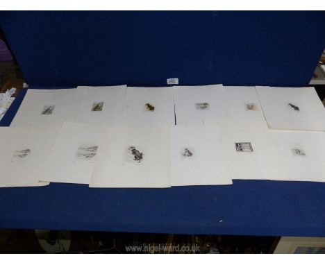 Twelve assorted black/white and colour Beatrix Potter Ltd. Print miniatures.