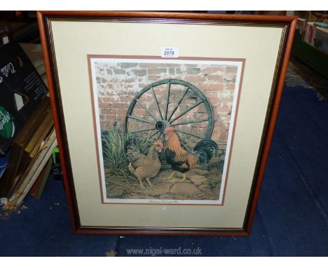 A framed and mounted limited edition print 'Weisummer Cock and Hen' 271/850, by Michael Oxenham, signed in pencil, 21 1/4'' x
