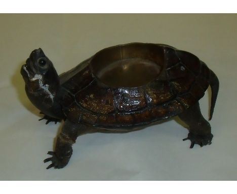 Small taxidermy tortoise the shell with space for a tea light