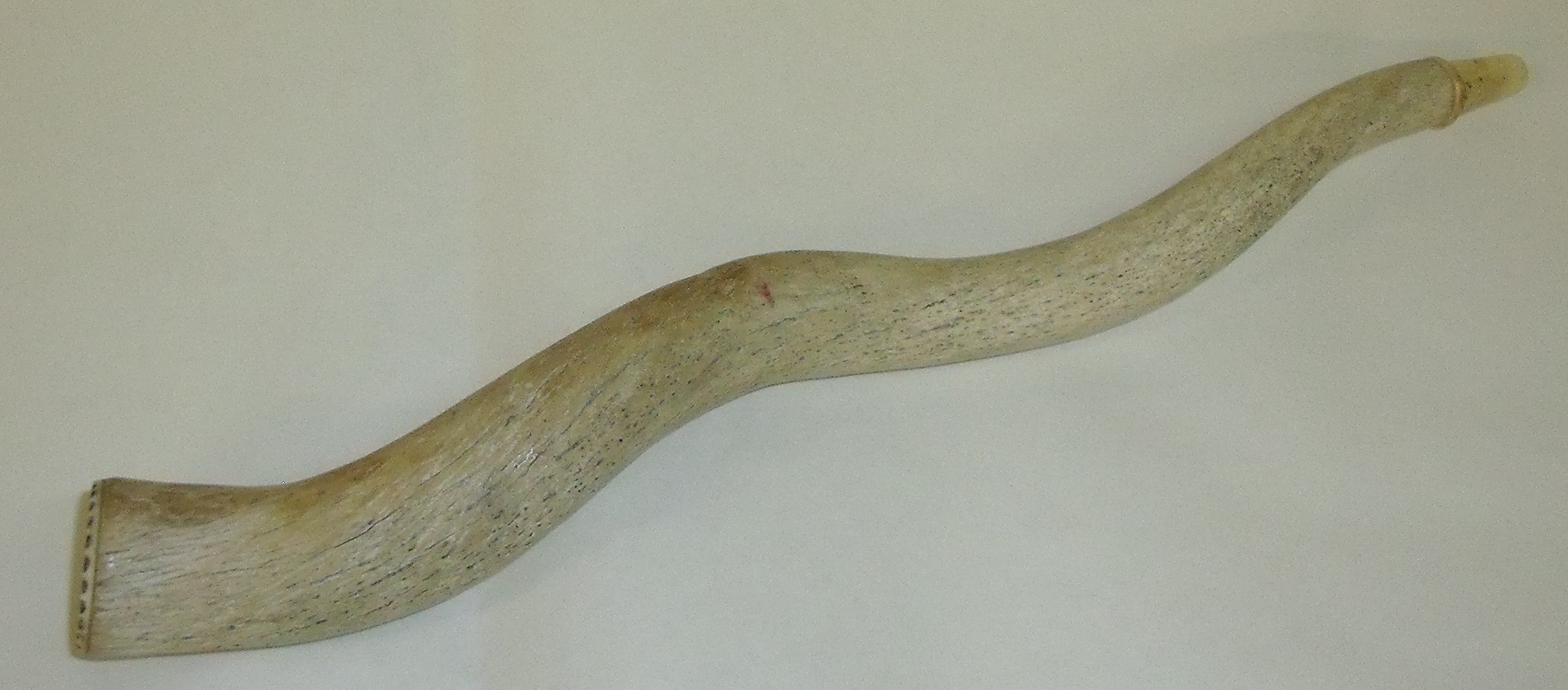 WITHDRAWN Part spiral narwhal horn with marine ivory tip with plaque