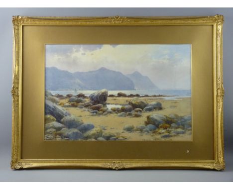 Lots 90-103 (& 109-110 in oil section) all consigned from one local lady, at present in care and all in their original mounts