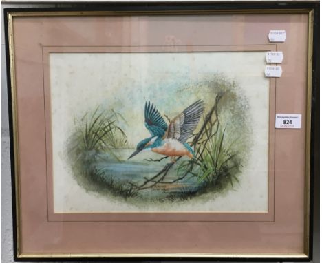 CHRISTOPHER SCALES, Kingfisher, watercolour, signed and dated, framed and glazed
