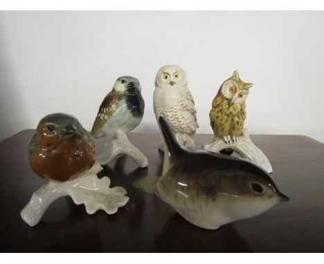 A group of four Goebel birds and a Russian Lomolosou wren 