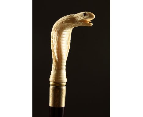 A BONE HANDLED WALKING STICK, carved as a cobra. 35.5ins long.