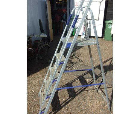 Alloy Step Ladder
