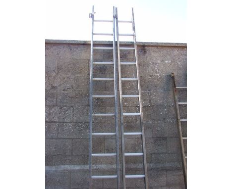 Extension Ladder ( sold as decorative / display item only )