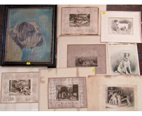 An early 20th century oil painting on canvas - study of the head of a bulldog, signed bottom left C Blach, 38 x 31 cm, framed
