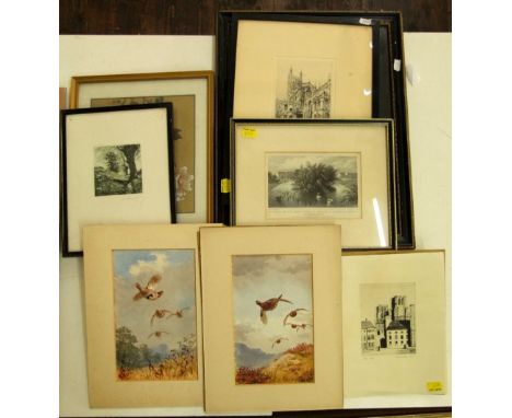 A pair of gouache studies by J C Harrison, one showing red grouse in flight and the other showing partridge in flight, both s