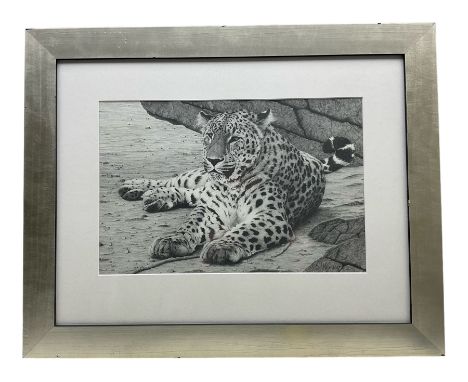 Clive Meredith (British Contemporary): 'Solitary Hunter - Persian Leopard', limited edition print signedand numbered 71/595, 