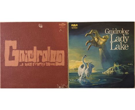 GNIDROLOG - STUDIO LP RARITIES. Here we have a superb pack of 2 studio LPs by British prog group Gnidrolog. Titles include La