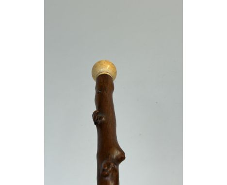 Wood &amp; bone walking stick