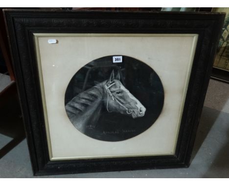 Early 20th Century School Charcoal Portrait Study Of A Horse