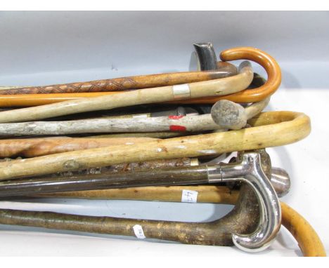 A mixed collection of twenty one walking stick / canes. 
