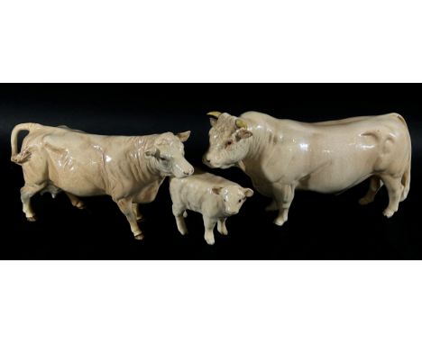 A Beswick porcelain model of a Charolais bull, cow and calf (3 